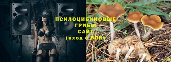 трава Алзамай